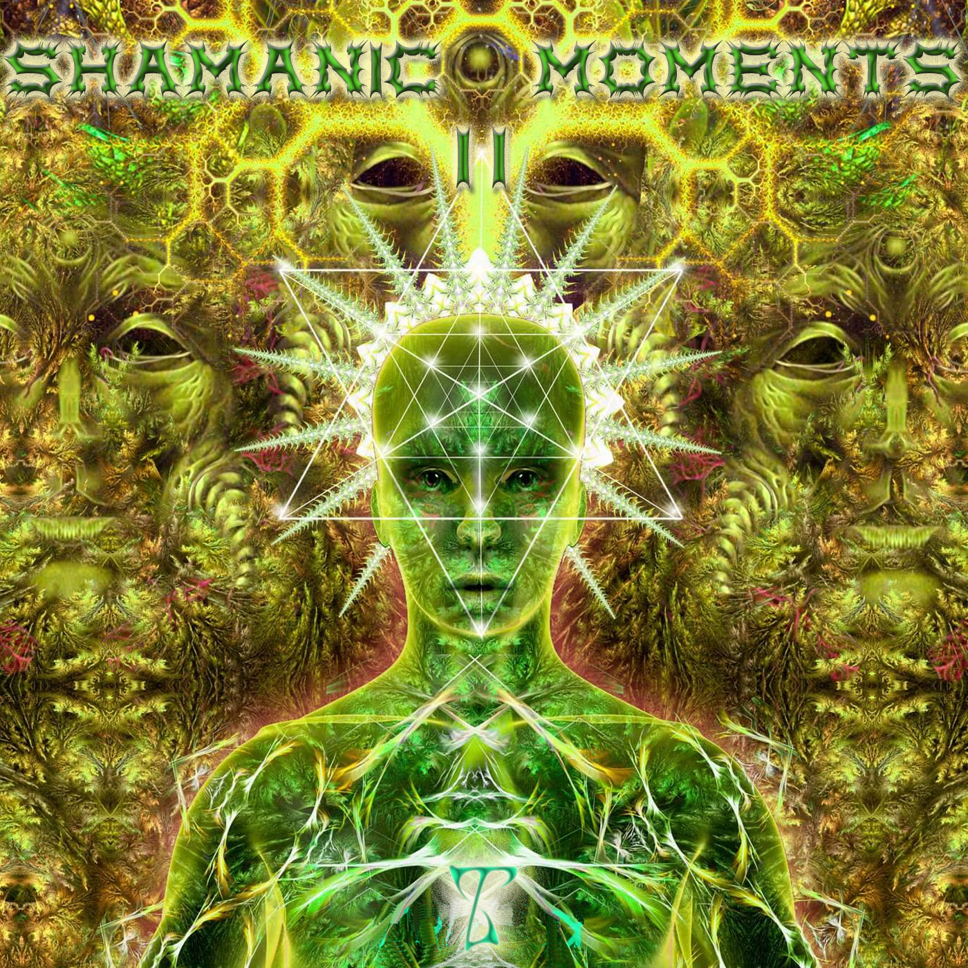 Shamanic Moments 2(Triplag Music)